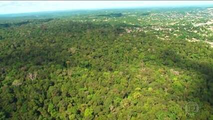 Governo quer usar fundo da Amazônia para indenizar desapropriações