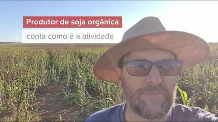 Produtor de soja orgânica conta como é a atividade