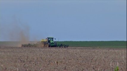 Seca gera prejuízos para os produtores de soja em Mato Grosso