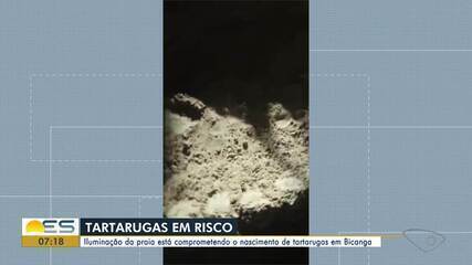 Iluminação da praia está comprometendo o nascimento de tartarugas em Bicanga, na Serra