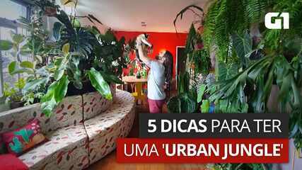 5 dicas para ter uma urban jungle barata