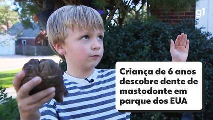 Criança de 6 anos descobre dente de mastodonte em parque dos EUA