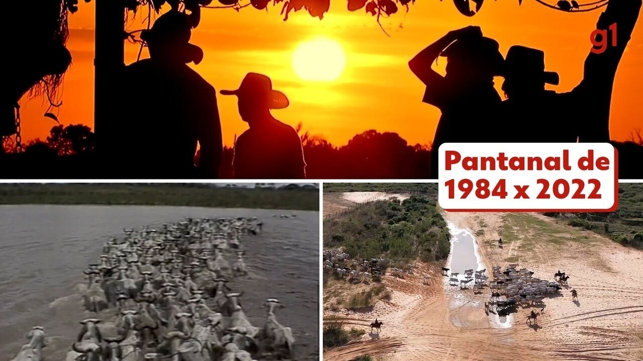 Pantanal de 1984 X 2022