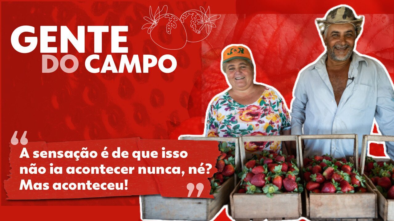 Gente do campo: casal deixa de ser meeiro para produzir morango