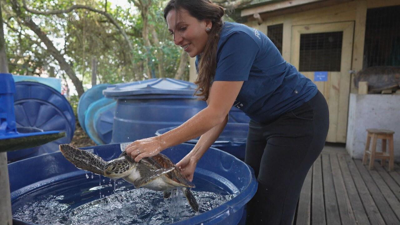 Redes de pesca são principal fonte de contaminação de plástico nos oceanos e também matam