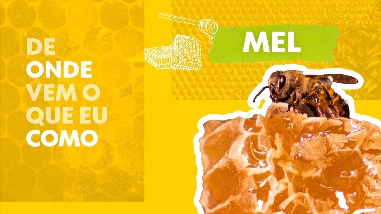 De onde vem o que eu como: Mel