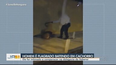 Homem filmado batendo com cinto em cachorro é intimado a depor em delegacia de Itaberaí - Morador presenciou a cena e ficou indignado com a forma como animal estava sendo tratado. Cão aparece deitado quase imóvel na calçada e chora com os golpes.