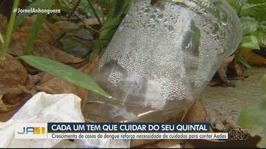 Crescimento de casos de dengue reforça necessidade de cuidados com água parada - Segundo o Ministério da Saúde, Goiás tem a segunda maior incidência de casos do país.