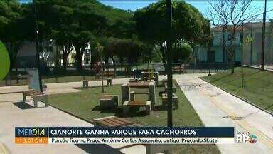 Cianorte ganha parque para cachorros - Parcão fica na Praça Antônio Carlos Assunção, antiga 'Praça do Skate'.