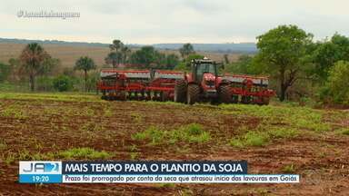 Ministério da agricultura prorroga prazo para plantio - Prazo foi prorrogado por conta da seca que atrasou início das lavouras em Goiás