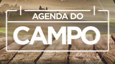 Agenda do campo (1 a 7 de abril) - Veja a programação para as cidades de Apucarana, Londrina, Mandirituba, Ortigueira, Pérola, Rio Bonito do Iguaçu e Toledo.