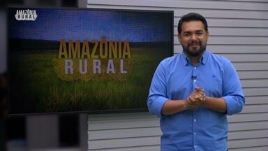 Assista ao Amazônia Rural deste domingo, 11 de agosto de 2024 - Veja a íntegra.