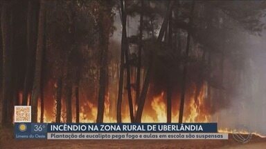 Incêndio de grandes proporções atinge a Floresta do Lobo, em Uberlândia - Foi preciso suspender as aulas de uma escola municipal que fica na região por causa da fumaça e da fuligem.