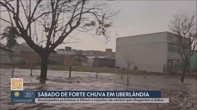 Temporal de sábado faz estragos em diversos pontos de Uberlândia - Queda de árvores, alagamentos e ruas sem asfalto foram registrados na tarde de sábado (28).