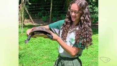 Espécie de plantas e animais voltam a aparecer após preservação no Sul do ES - Veja a seguir.