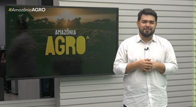 Assista ao Amazônia Agro deste domingo, 13 de outubro de 2024 - Veja os destaques