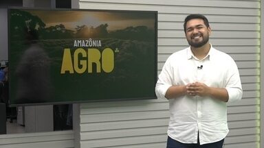 Amazônia Agro de domingo, 20 de outubro de 2024 - Veja a íntegra.