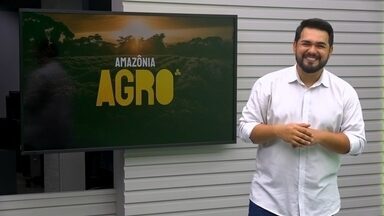 Amazônia Agro de domingo, 24 de novembro de 2024 - Veja a íntegra.