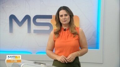 MSTV 1ª Campo Grande, edição de quarta-feira, 27/11/2024 - MSTV 1ª Campo Grande, edição de quarta-feira, 27/11/2024