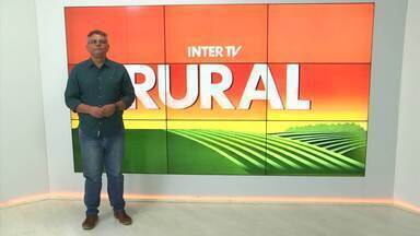 Íntegra do Inter TV Rural deste domingo, 1º de dezembro de 2024 - Telejornal mostra as noticias do campo.