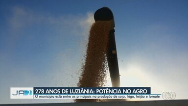 Luziânia completa 278 anos e é potência no agronegócio - O município está entre os principais produtores de soja, trigo, feijão e tomate.