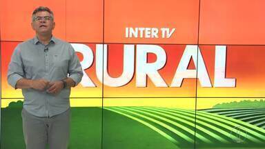 Íntegra do Inter TV Rural deste domingo, 15 de dezembro de 2024 - Telejornal mostra as principais notícias do homem do campo.