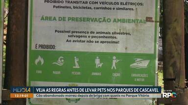 Veja as regras antes de levar pets nos parques de Cascavel - Cão abandonado morreu depois de briga com quatis no Parque Vitória