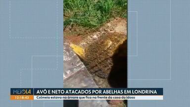 Avô e neto são atacados por abelhas em Londrina - Colmeia estava na árvore que fica na frente da casa do idoso.