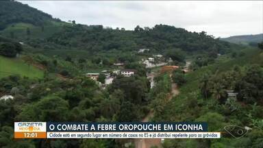 Iconha, ES, é a segunda cidade do ES com maior número de casos de febre oropouche - Assista a seguir.