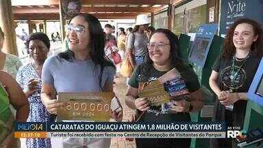 Cataratas do Iguaçu atingem 1,8 milhão de visitantes - Turista foi recebido com festa no Centro de Recepção de Visitantes do Parque.