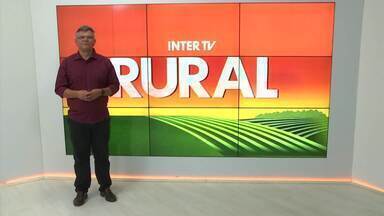 Íntegra do Inter TV Rural deste domingo, 22 de dezembro de 2024 - Cácio Xavier traz as principais notícias do homem do campo na tela da Inter TV.