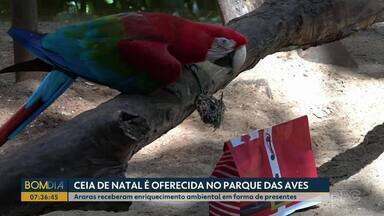 Ceia de natal é oferecida no parque das aves - Araras receberam enriquecimento ambiental em forma de presentes