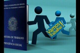 No quadro 'Vamos Trabalhar' mostra que investir na gastronomia pode ser boa opção - Profissional dá dicas do que é preciso fazer para ter um bom desempenho na área.