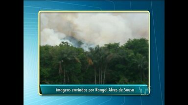 Vídeo mostra nuvem de fumaça por cima da vegetação em Santarém - Telespectador informou que registro foi feito na localidade de Bueru, na região da rodovia Santarém-Curuá-Una, mas que as áreas queimadas podem ser vistas desde a comunidade Perema.