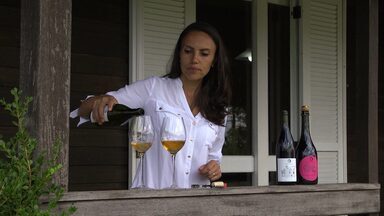 Biodinâmica - Neste episódio de Um Brinde ao Vinho, Cecília Aldaz vai à Vinícola Seña, no Chile, e mostra como a biodinâmica pode ser utilizada na produção dos vinhos.