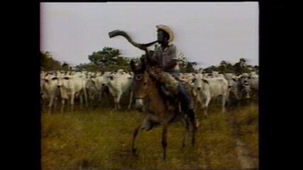 Globo Rural no Pantanal em 1984 - parte 1