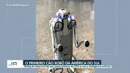 Conheça o Bitdog, primeiro cão robô da América do Sul que estará em Goiânia