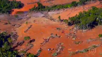 Devastação de florestas e tragédias climáticas: veja o que marcou o meio ambiente em 2022. 'Retrospectiva 2022', 30/12/2022