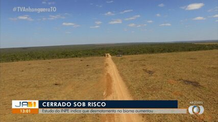 Estudo mostra que desmatamento no cerrado aumentou