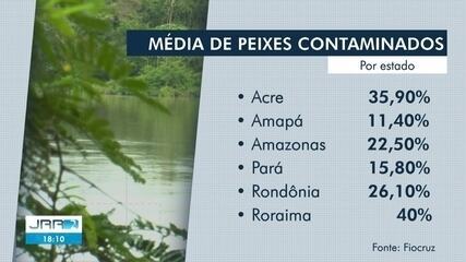 Peixes consumidos pela população em 6 estados da Amazônia têm contaminação por mercúrio