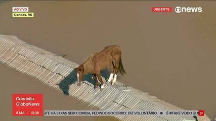 Globocop flagra cavalo ilhado em Canoas, RS