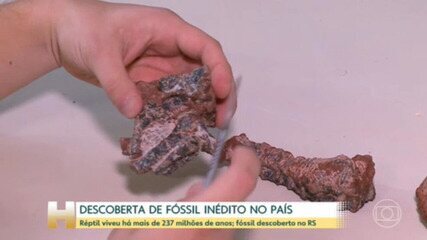 Cientistas descobrem fóssil no RS