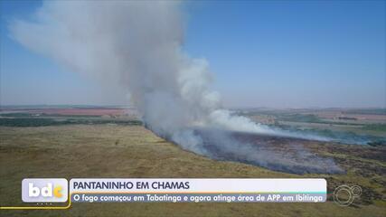 Incêndio florestal se alastra e afeta área de preservação ambiental no interior de SP