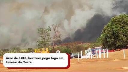 Área de 3.800 hectares pega fogo em Limeira do Oeste, no Triângulo Mineiro