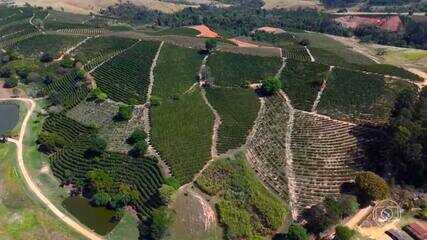 Agricultura se adapta a eventos climáticos