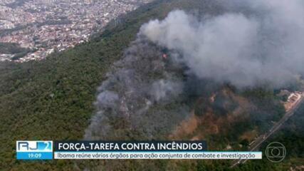 Com mais de 1,4 mil incêndios florestais em 5 dias no RJ, Ibama cria grupo para combater e investigar queimadas