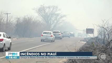 Incêndios no Piauí: Uruçuí e Baixa Grande do Ribeiro lideram o número de queimadas