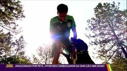 Apaixonado por pets, Vitor Reis é embaixador da ONG Cão sem Dono