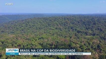 Brasil é um dos protagonistas da COP da Biodiversidade, na Colômbia