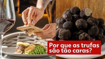 Por que as trufas são tão caras?